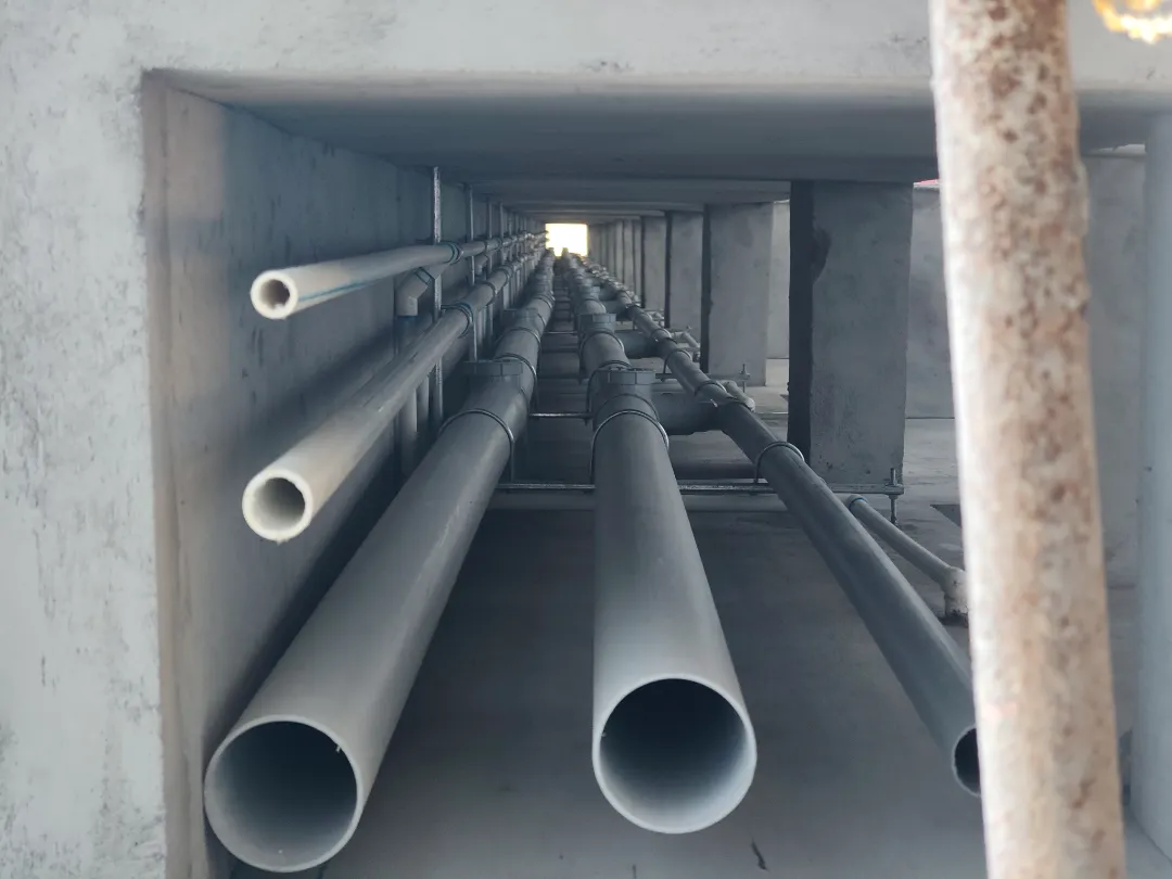 Confident Greenwich Project Schedule on 7th November 2025