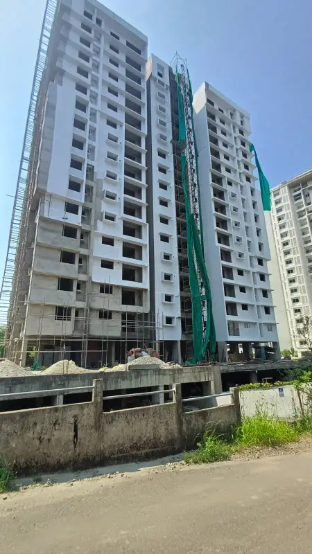 Confident Whiteberry Project Schedule on 9th May 2025