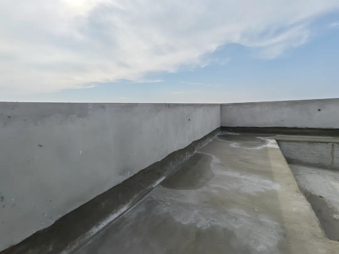 Confident Greenwich Project Schedule on 11th December 2025