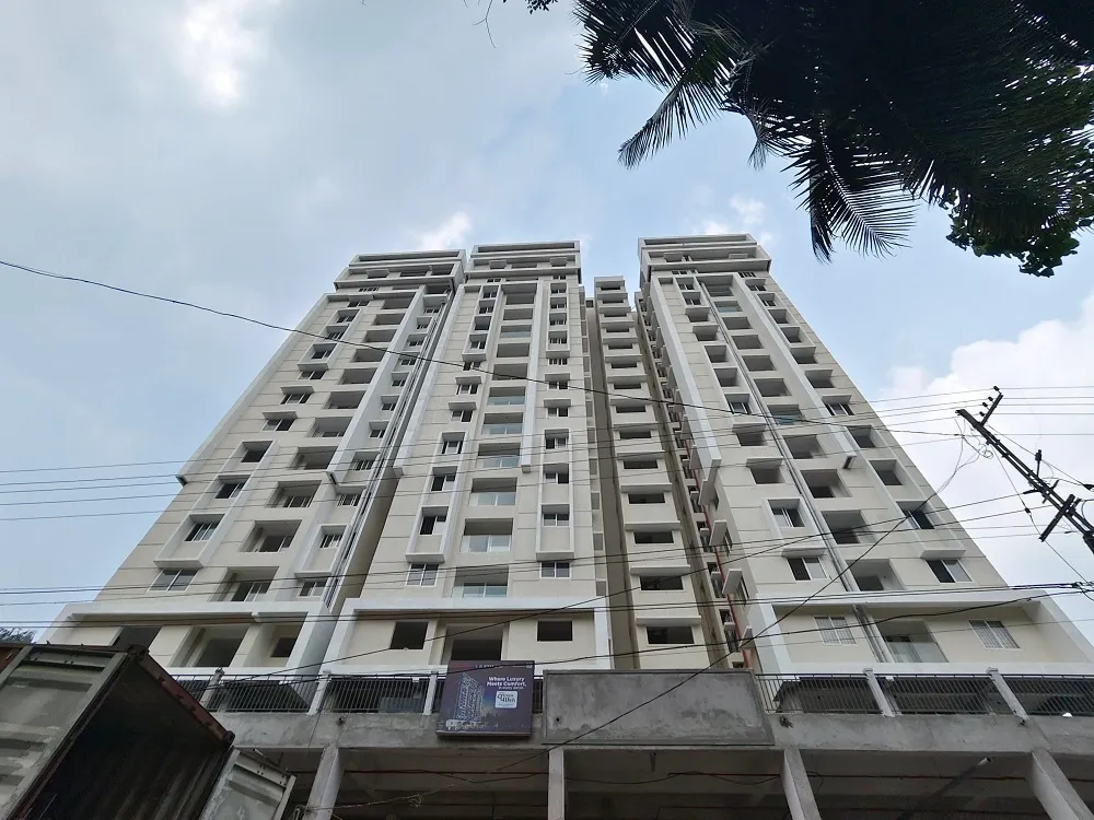 Confident Greenwich Project Schedule on 11th March 2026