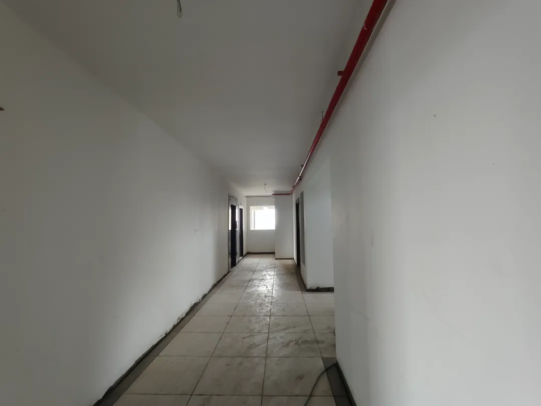 Confident Greenwich Project Schedule on 11th March 2026