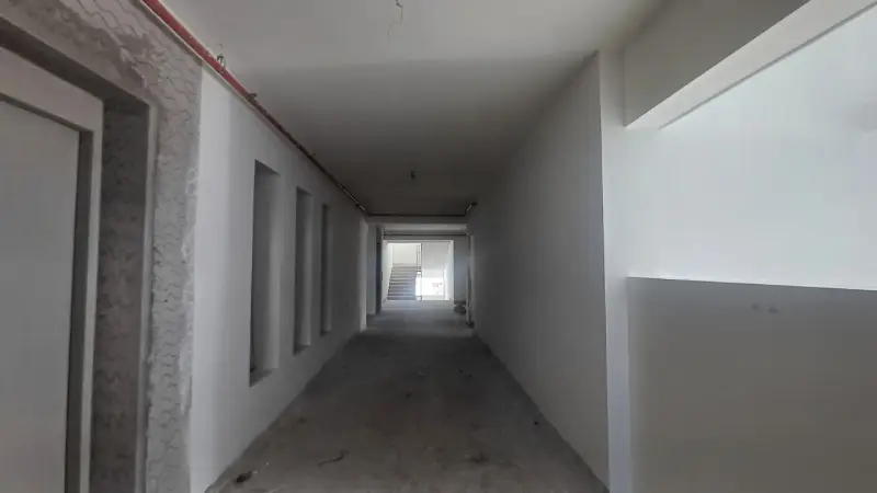 Confident Whiteberry Project Schedule on 11th September 2025