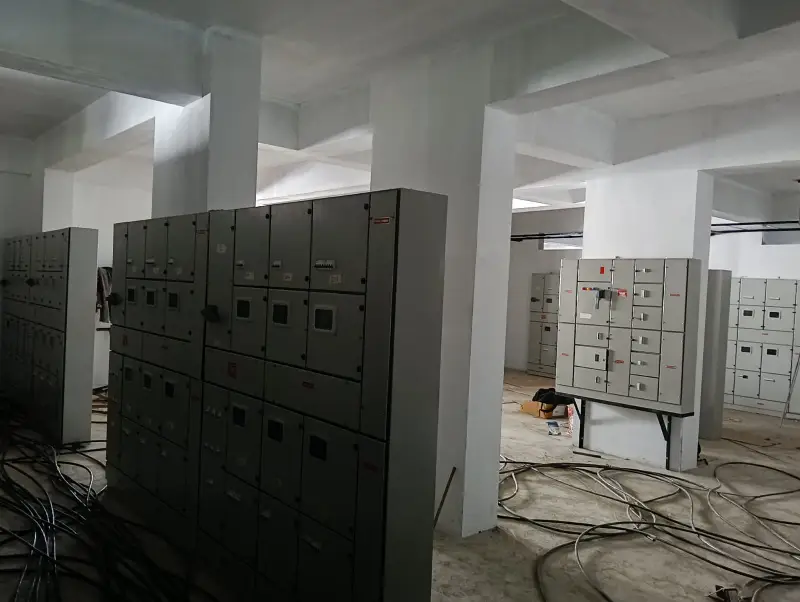 Confident Whiteberry Project Schedule on 11th August 2025