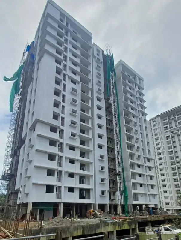 Confident Whiteberry Project Schedule on 11th August 2025