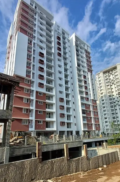 Confident Whiteberry Project Schedule on 7th November 2025