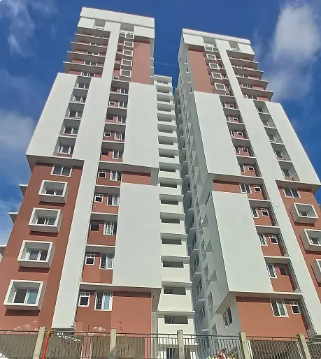 Confident Whiteberry Project Schedule on 7th November 2025