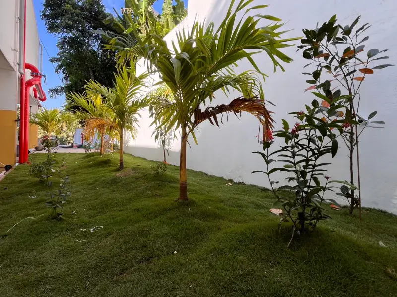 Confident Oakwood Project Schedule on 14th November 2025