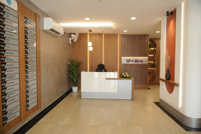 Confident Whiteberry Project Schedule on 18th December 2025