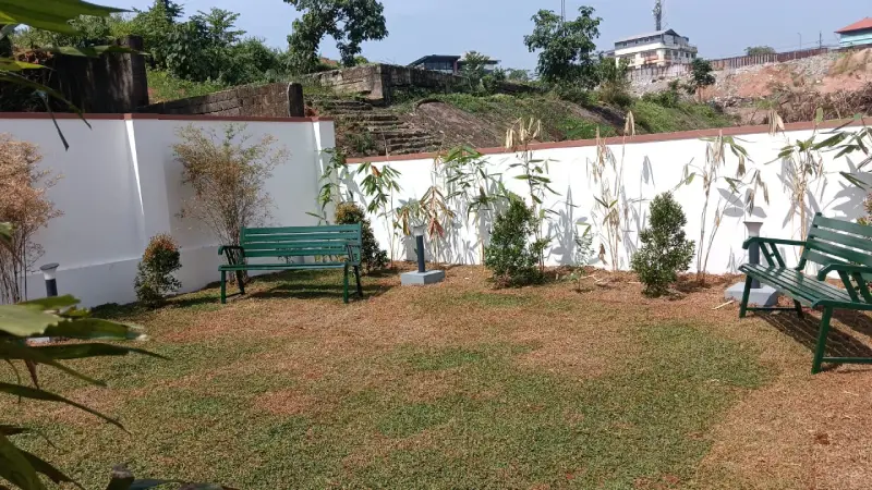 Confident Whiteberry Project Schedule on 18th December 2025