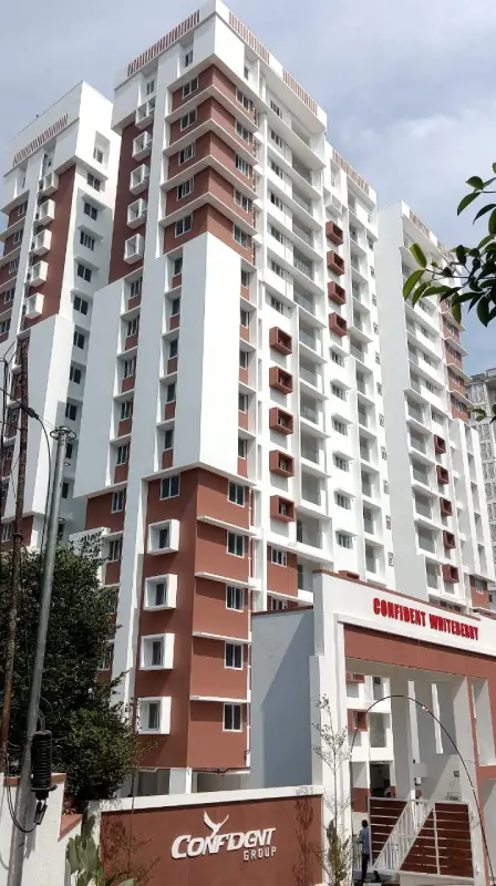 Confident Whiteberry Project Schedule on 18th December 2025