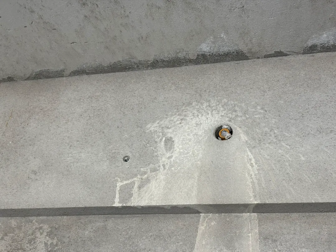 Confident Horizon Project Schedule on 5th February 2026