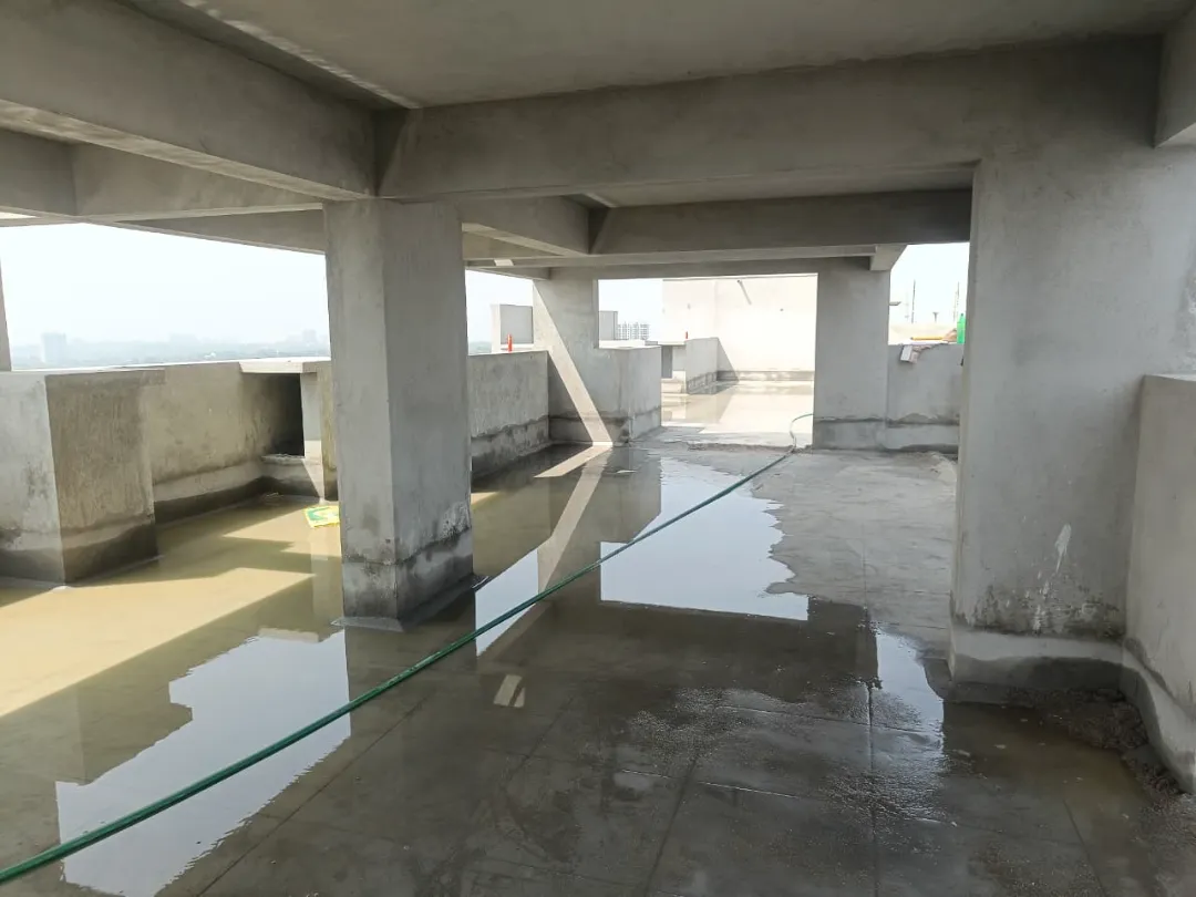 Confident Horizon Project Schedule on 5th February 2026