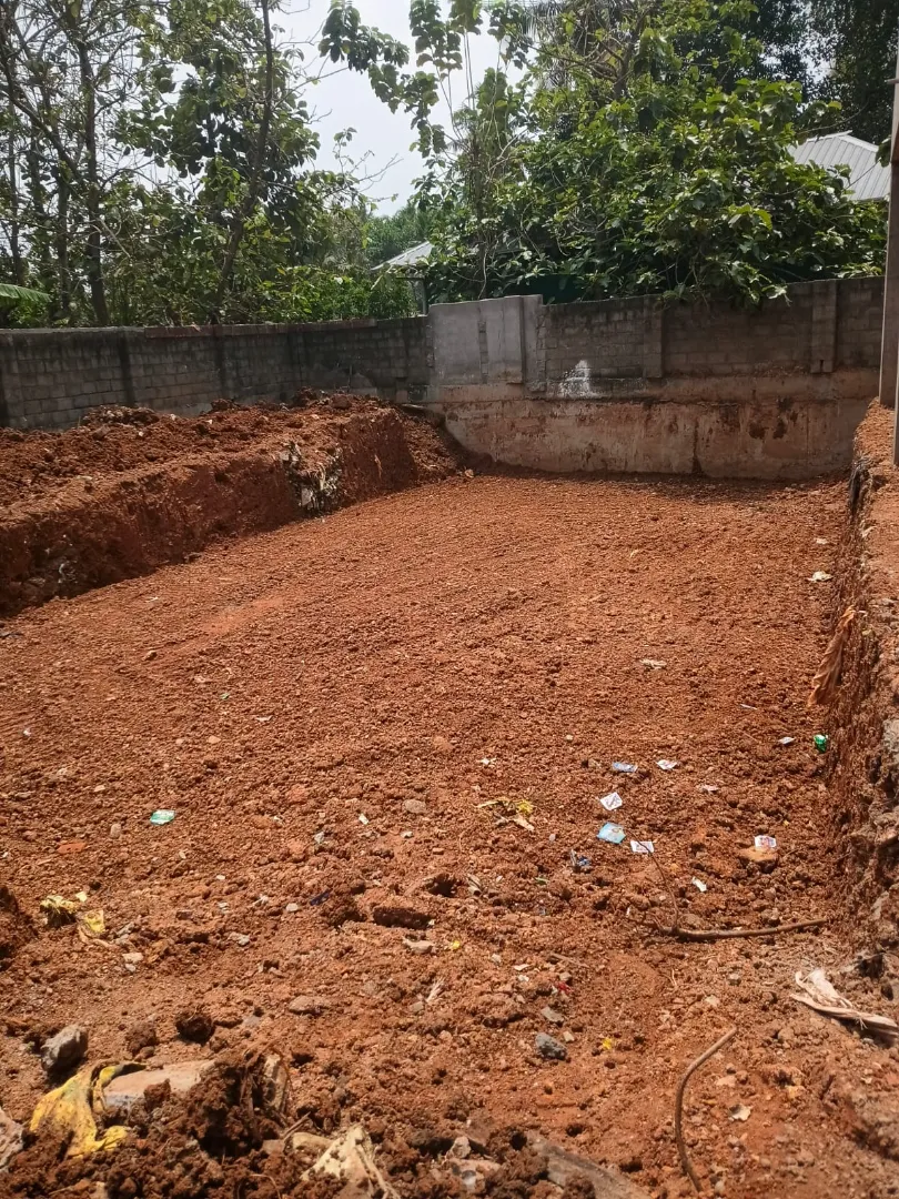 Confident Horizon Project Schedule on 5th March 2026