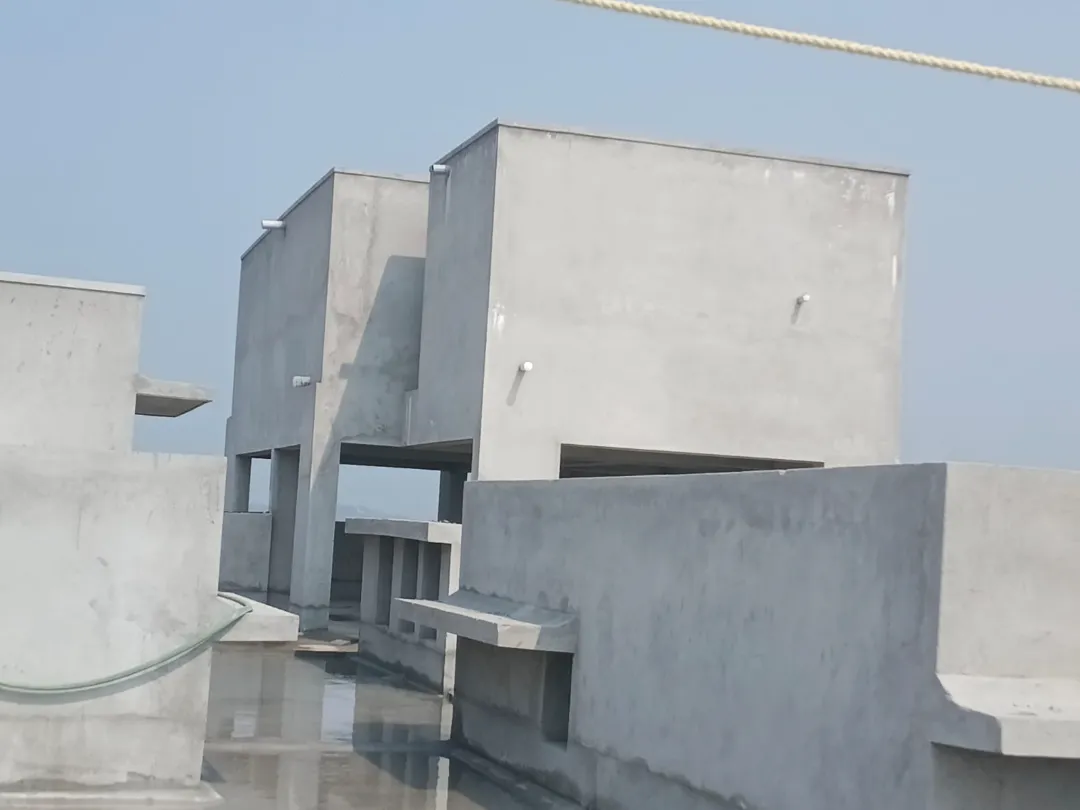 Confident Horizon Project Schedule on 5th March 2026