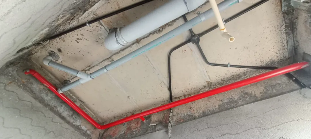 Confident Horizon Project Schedule on 5th January 2026