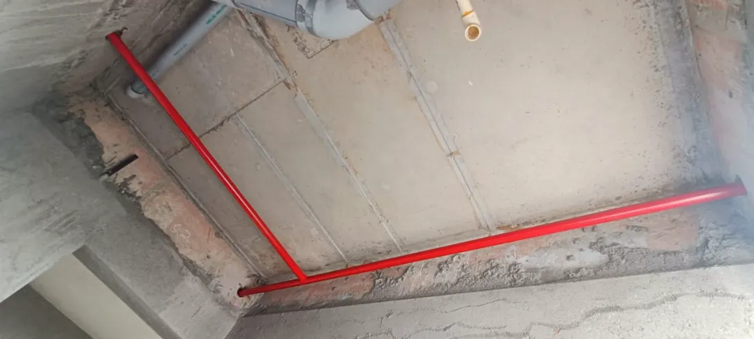 Confident Horizon Project Schedule on 5th January 2026