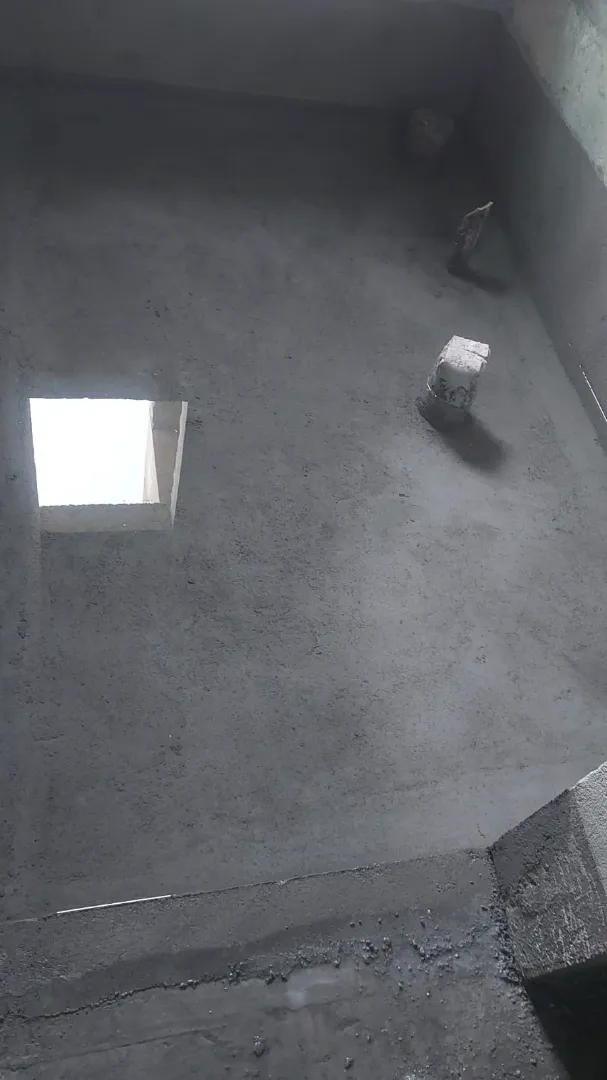 Confident Horizon Project Schedule on 5th January 2026