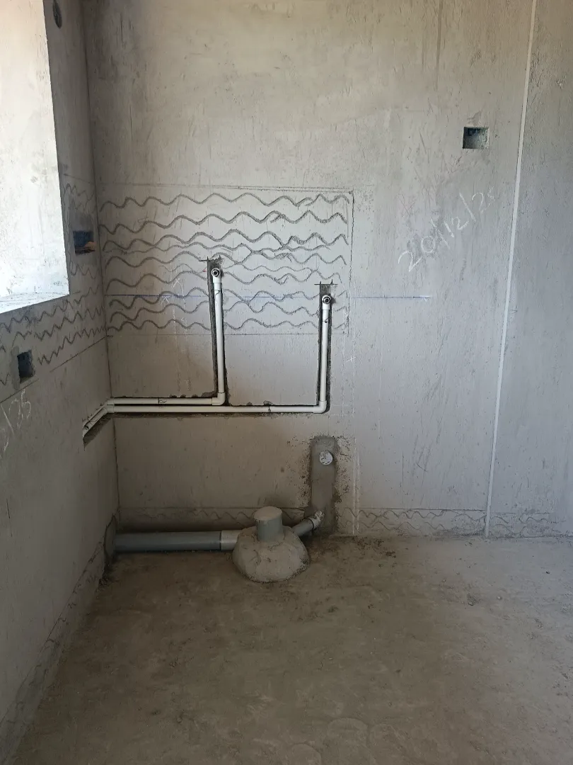 Confident Pinewood Project Schedule on 6th March 2026