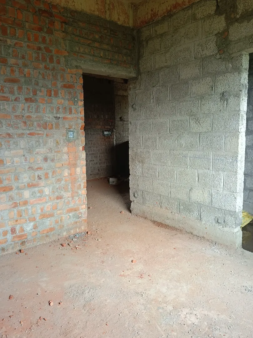 Confident Pinewood Project Schedule on 6th March 2026