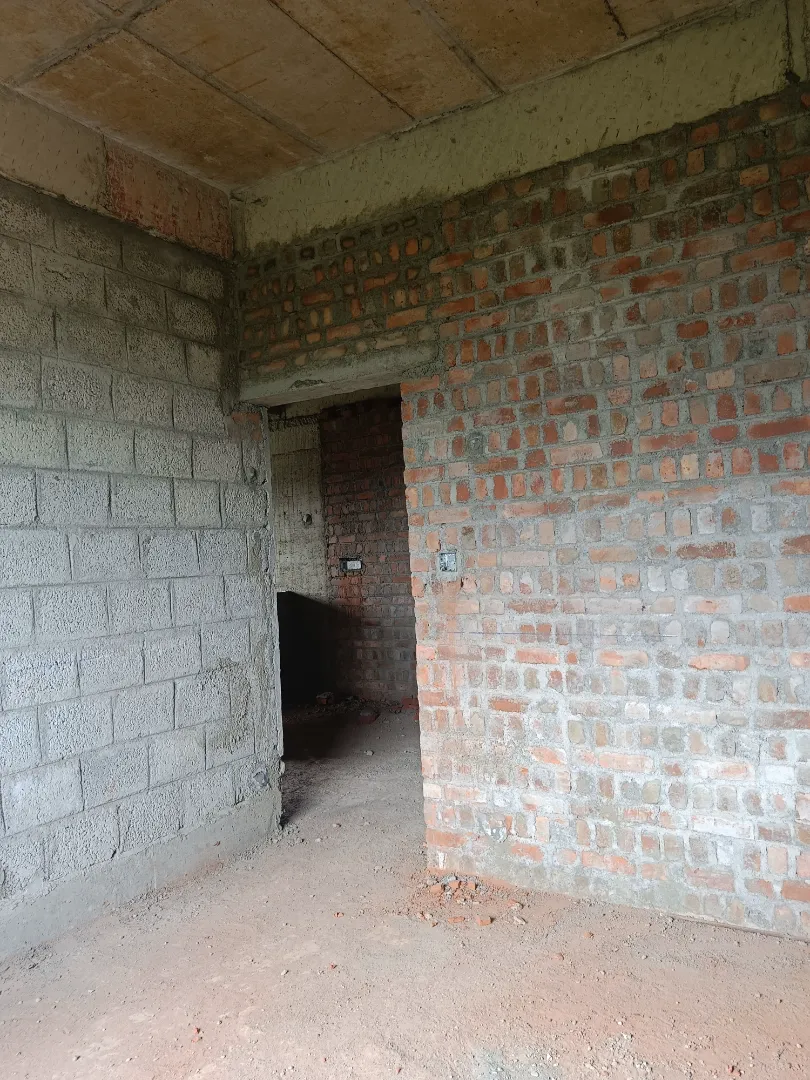 Confident Pinewood Project Schedule on 6th March 2026