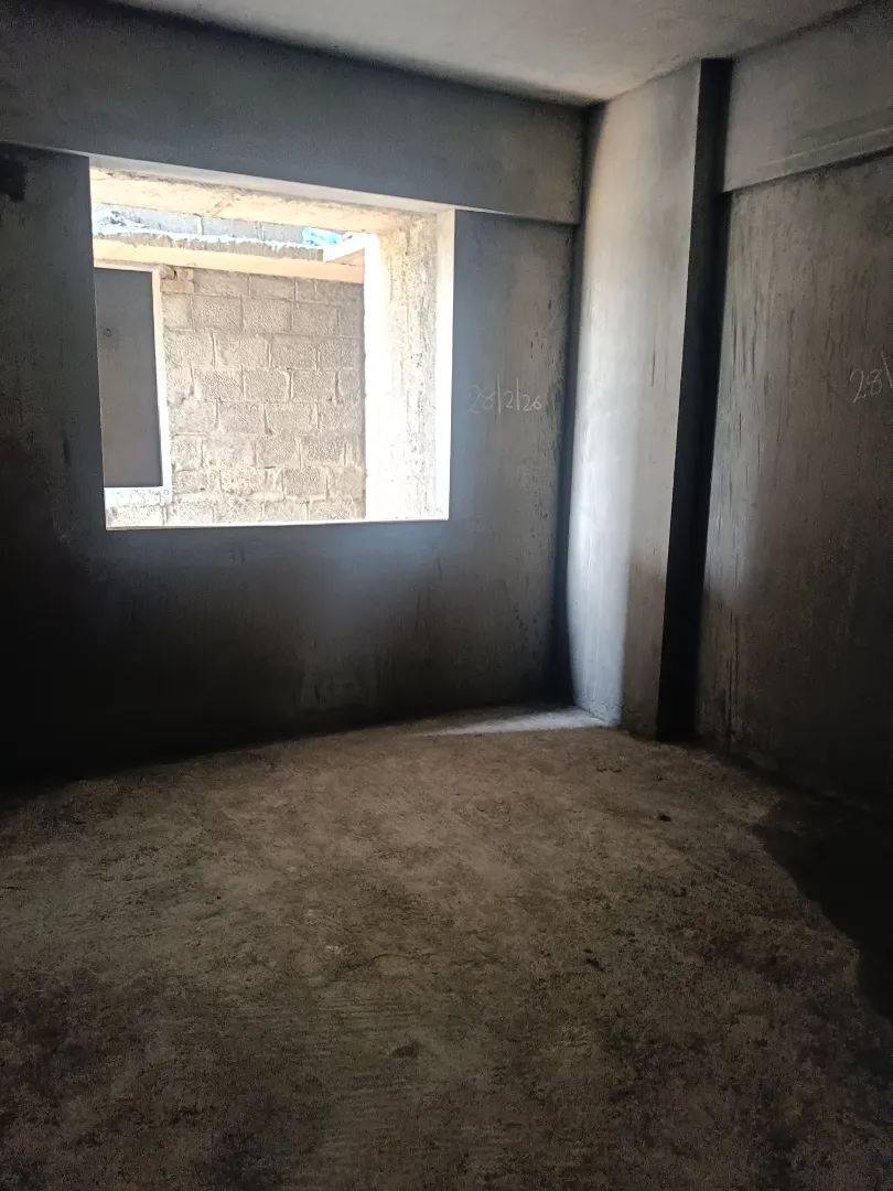 Confident Pinewood Project Schedule on 6th March 2026