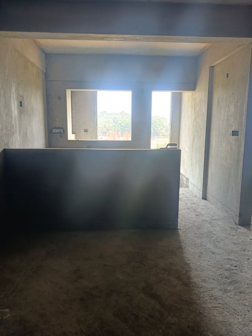 Confident Pinewood Project Schedule on 6th March 2026