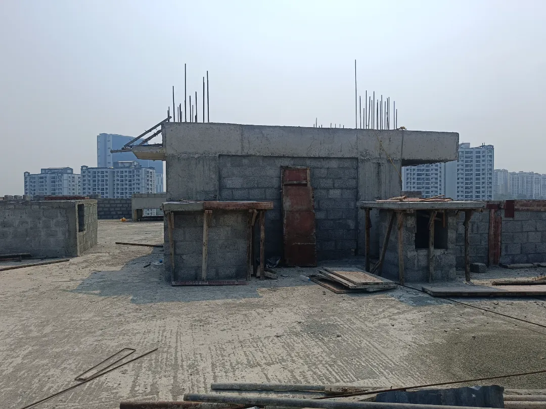 Confident Pinewood Project Schedule on 6th March 2026