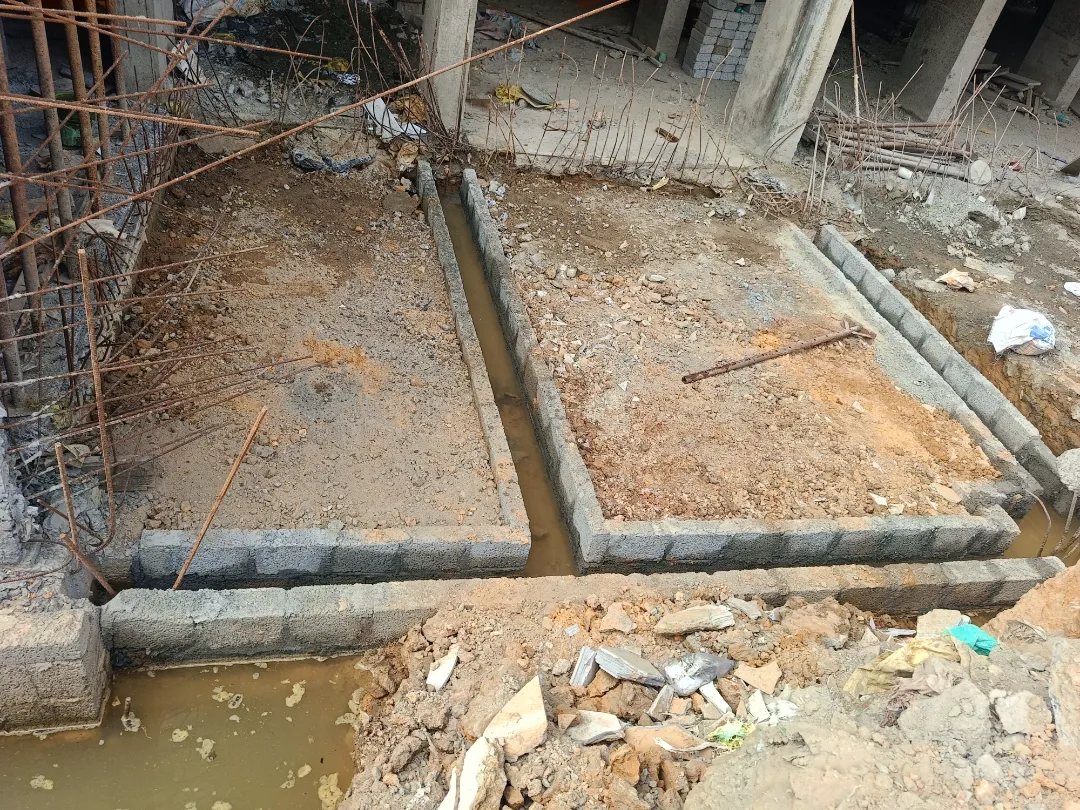 Confident Pinewood Project Schedule on 6th March 2026