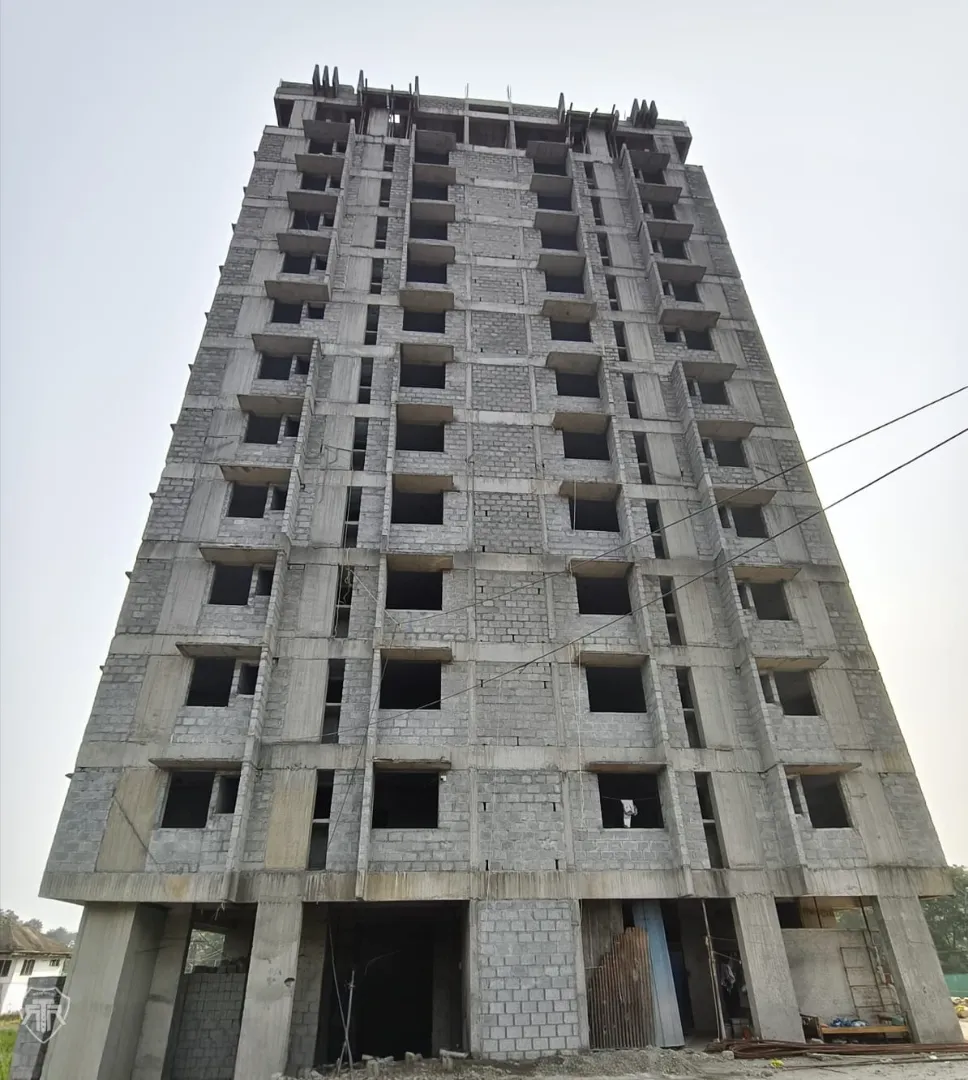 Confident Pinewood Project Schedule on 6th March 2026