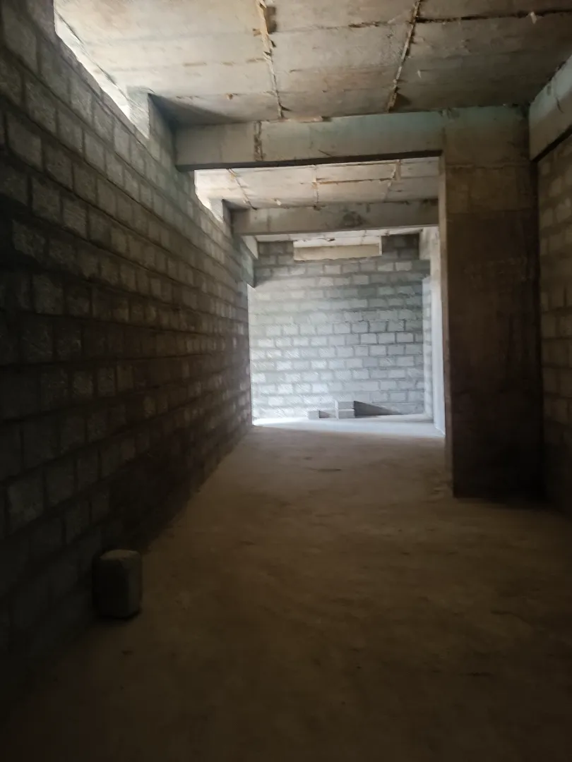 Confident Pinewood Project Schedule on 6th March 2026