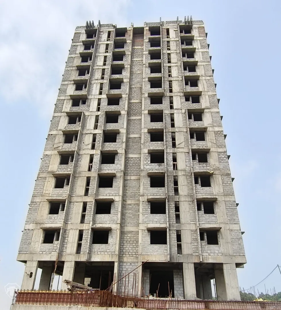 Confident Pinewood Project Schedule on 6th March 2026