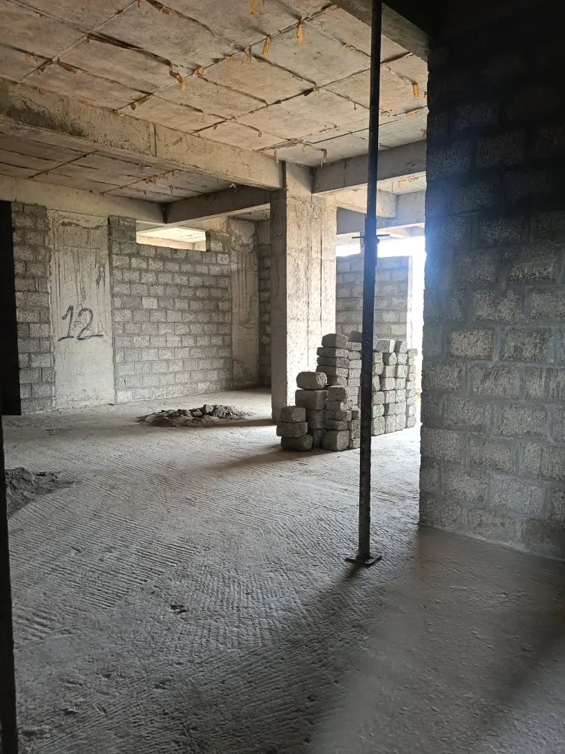 Confident Pinewood Project Schedule on 6th March 2026