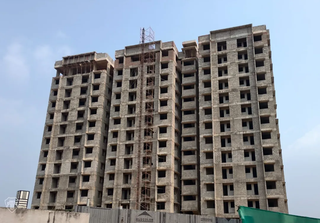 Confident Pinewood Project Schedule on 6th March 2026