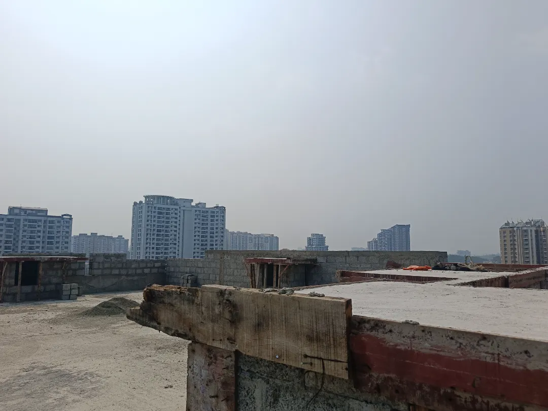 Confident Pinewood Project Schedule on 6th March 2026