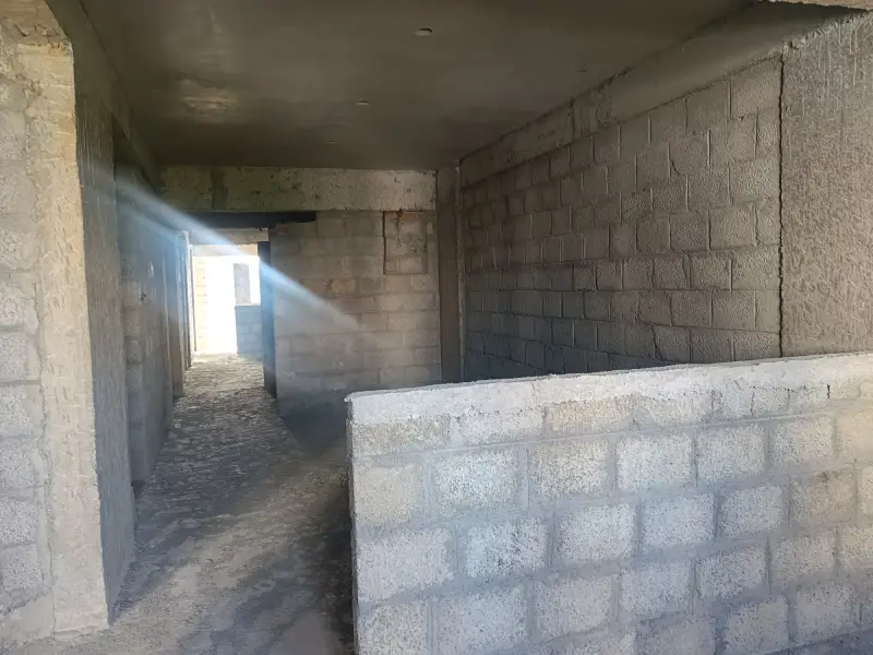 Confident Pinewood Project Schedule on 06th November 2025