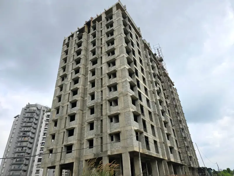 Confident Pinewood Project Schedule on 06th November 2025