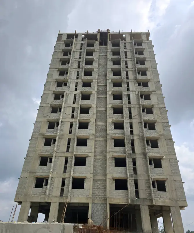 Confident Pinewood Project Schedule on 06th November 2025