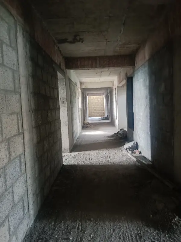 Confident Pinewood Project Schedule on 06th November 2025