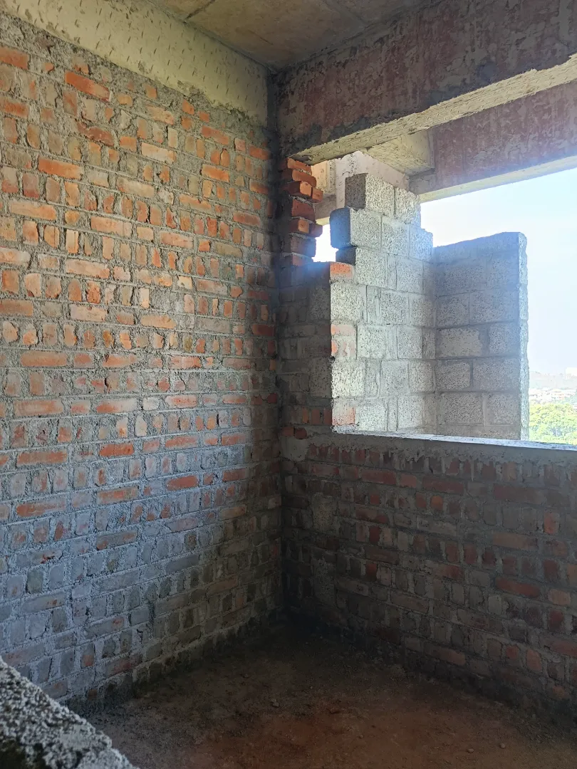 Confident Pinewood Project Schedule on 6th January 2026