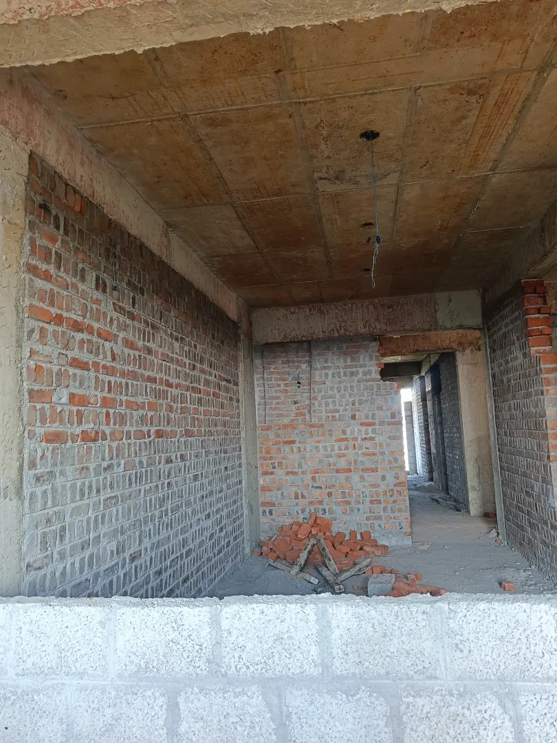 Confident Pinewood Project Schedule on 6th January 2026