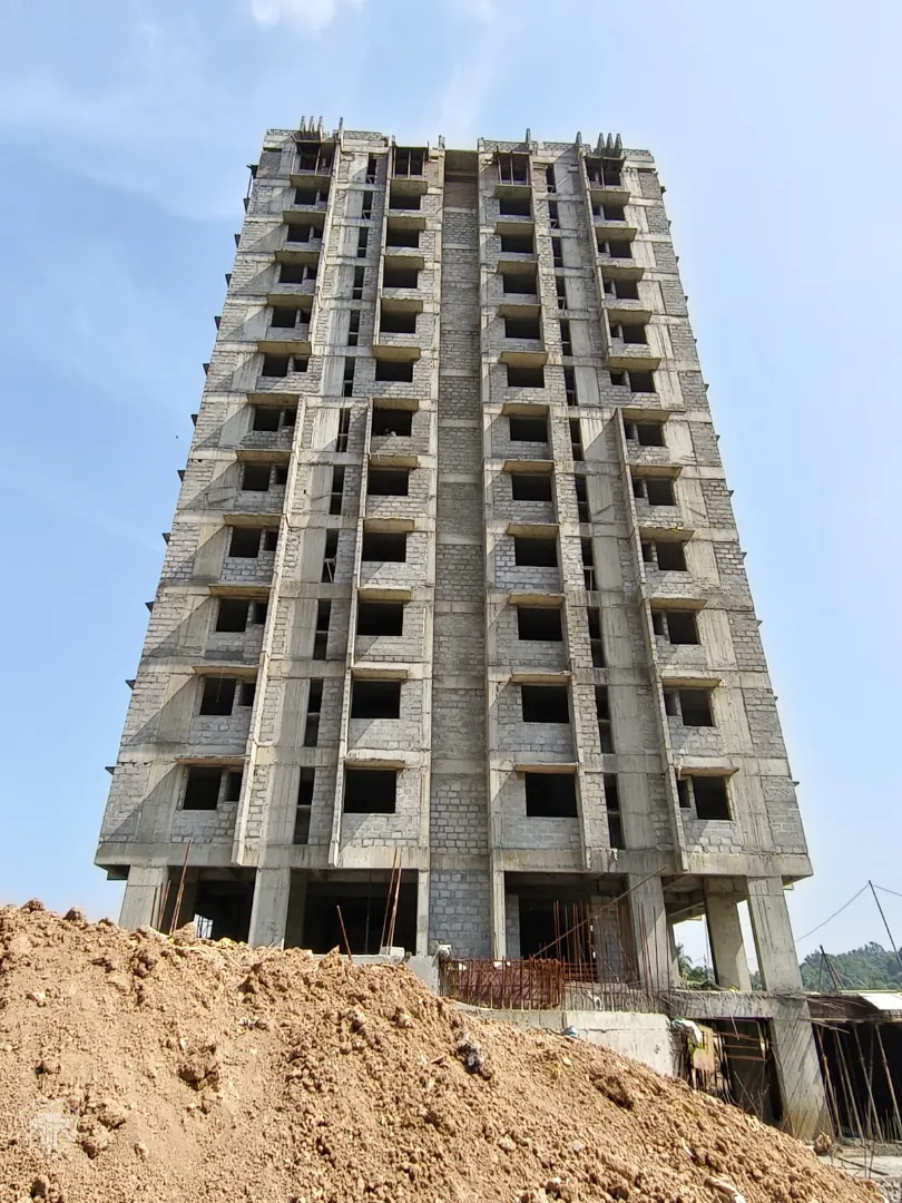 Confident Pinewood Project Schedule on 6th January 2026