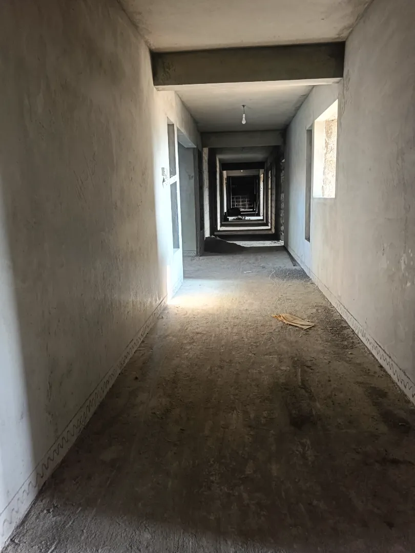 Confident Pinewood Project Schedule on 6th January 2026