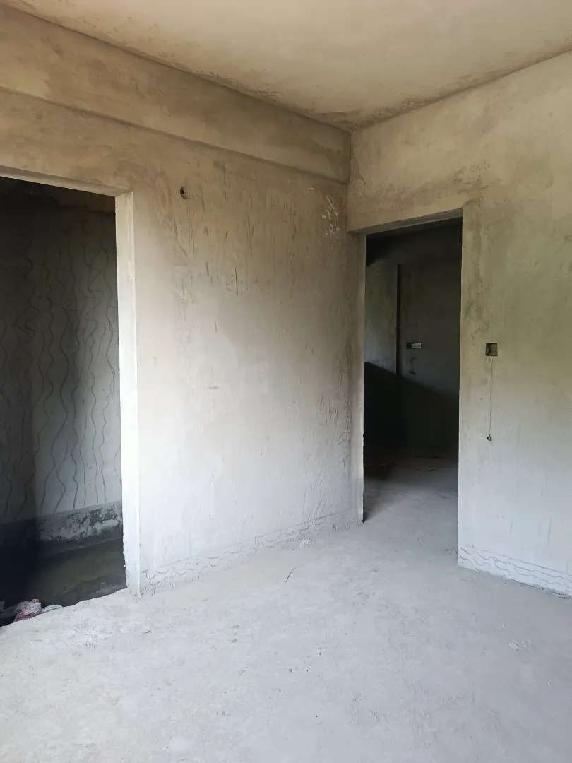 Confident Pinewood Project Schedule on 6th January 2026