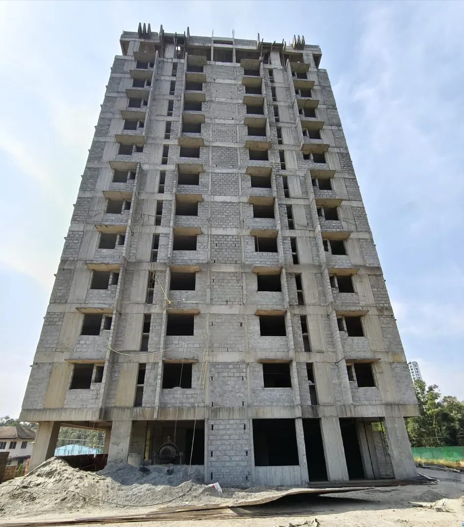 Confident Pinewood Project Schedule on 6th January 2026