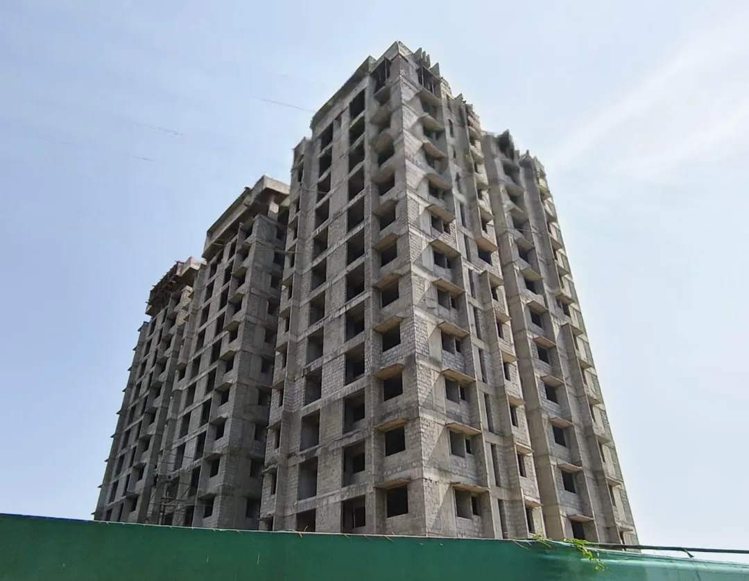 Confident Pinewood Project Schedule on 6th January 2026