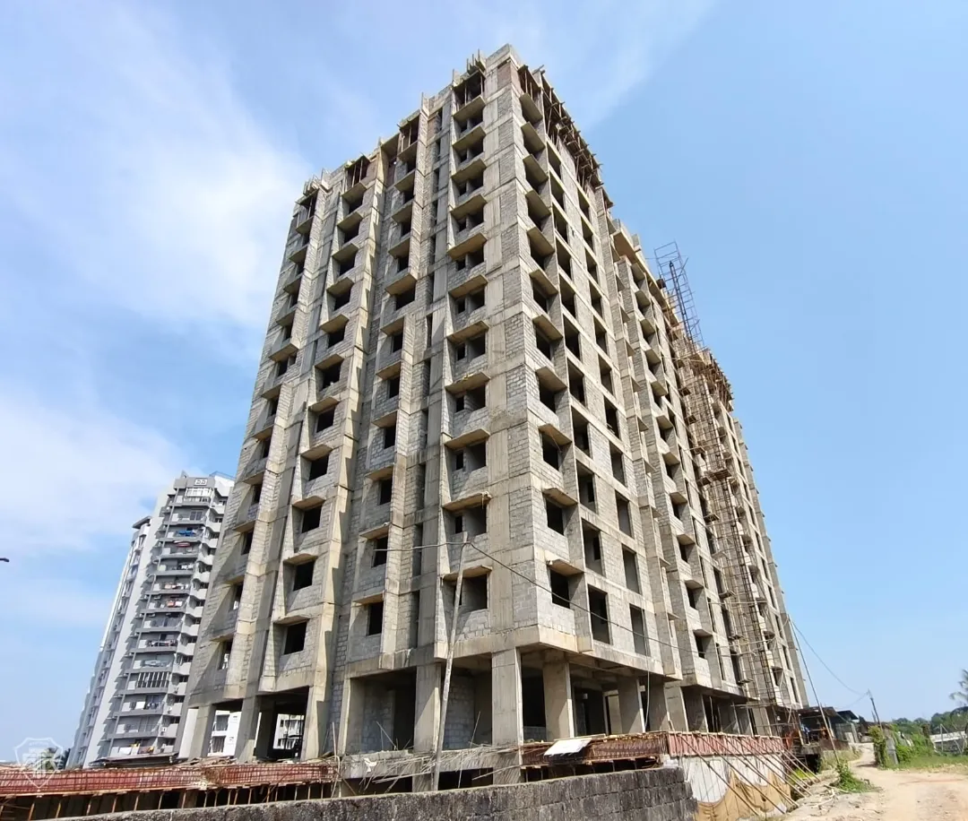 Confident Pinewood Project Schedule on 6th January 2026