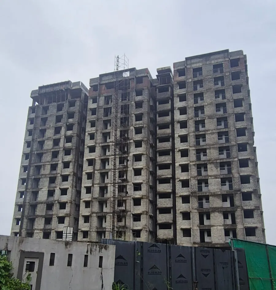 Confident Pinewood Project Schedule on 5th July 2026