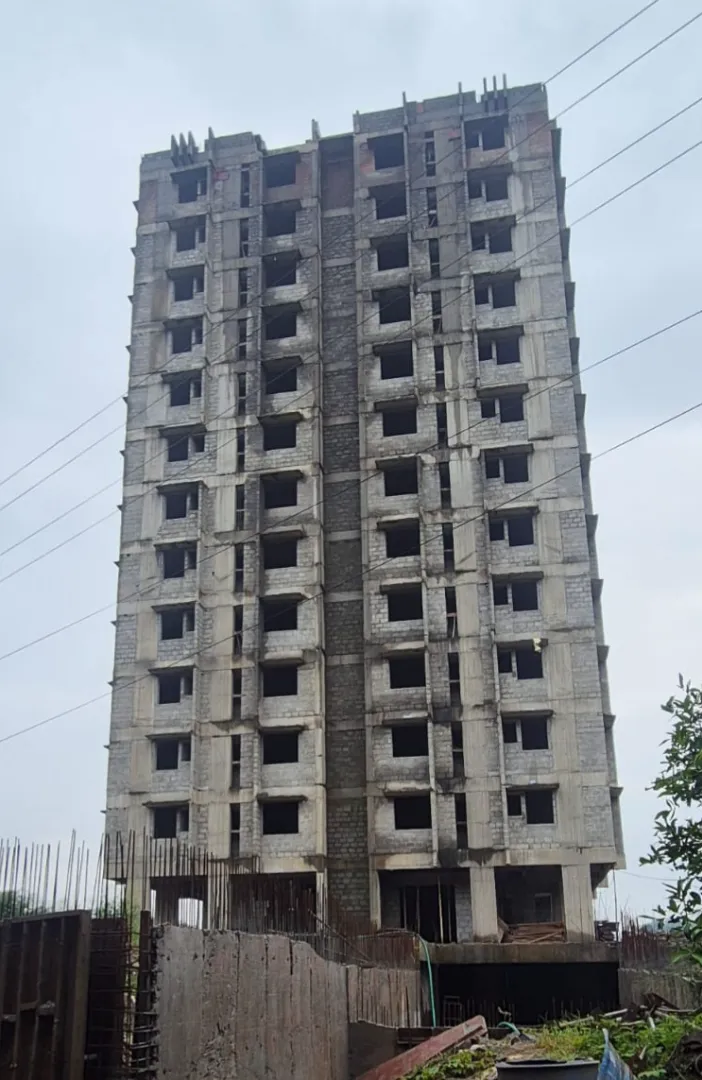 Confident Pinewood Project Schedule on 5th July 2026