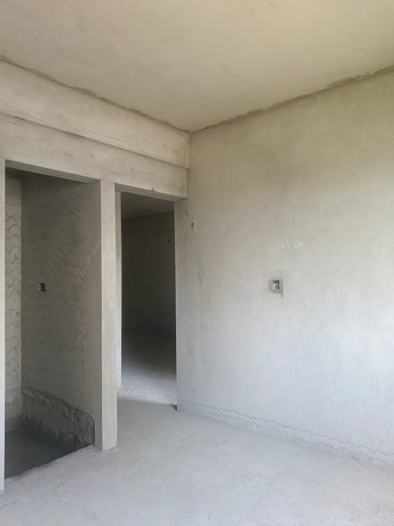 Confident Pinewood Project Schedule on 7th April 2026