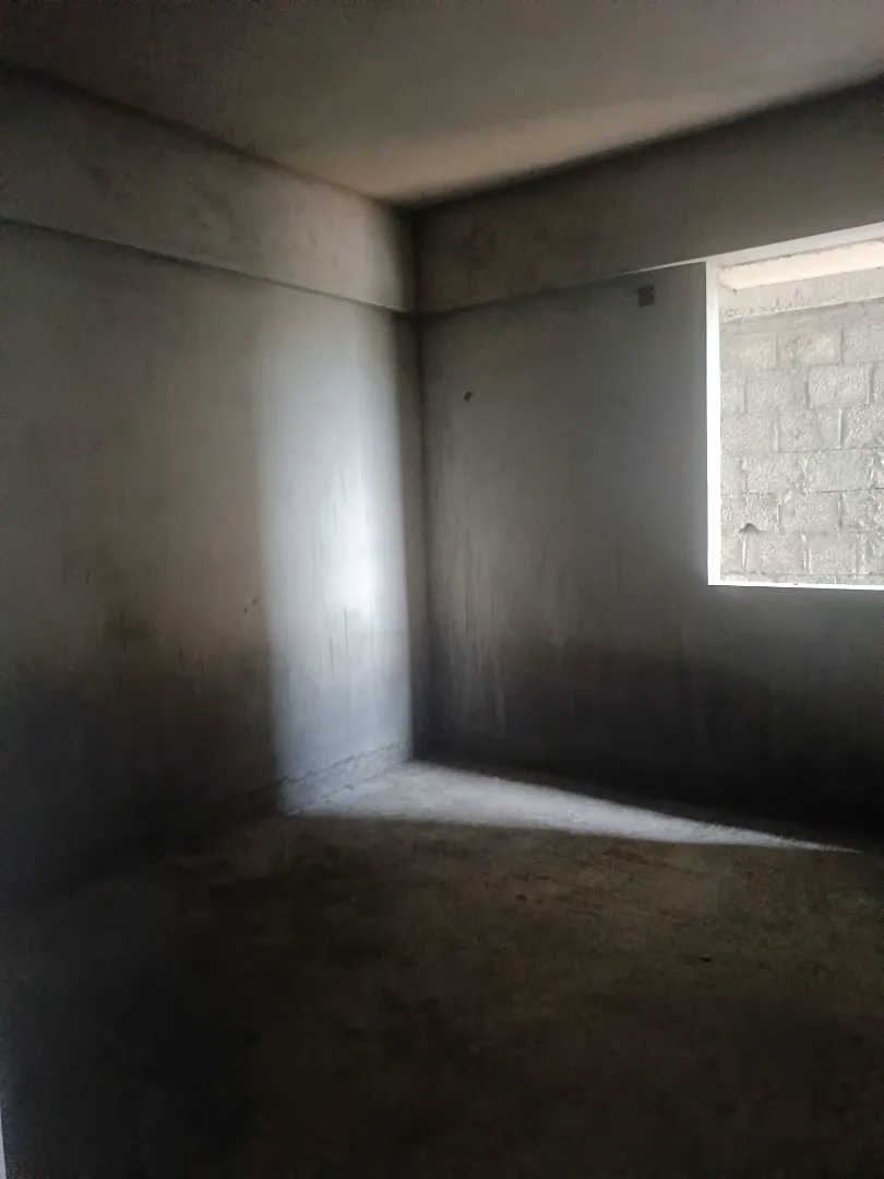 Confident Pinewood Project Schedule on 7th April 2026